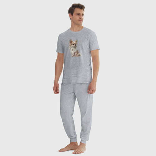 Мужская пижама хлопок Чихуахуа с медальоном, кремовый, цвет меланж - фото 5
