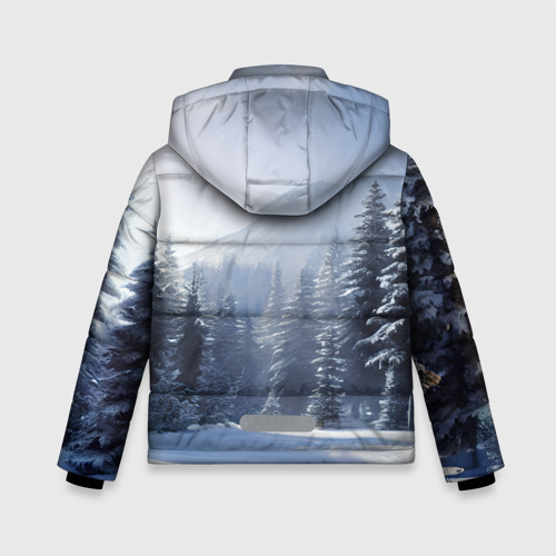 Зимняя куртка для мальчиков 3D Снежная тайга, цвет светло-серый - фото 2