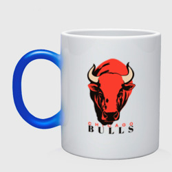 Кружка хамелеон Chicago bull