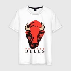 Мужская футболка хлопок Chicago bull