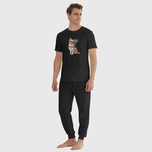 Мужская пижама хлопок Чихуахуа с бантиком, кремовый, цвет черный - фото 5