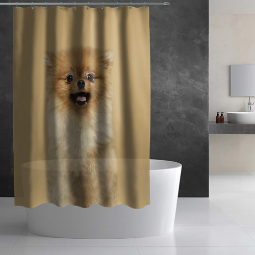 Штора 3D для ванной Померанский шпиц собака - фото 2