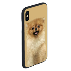 Чехол для iPhone XS Max матовый Померанский шпиц собака - фото 2