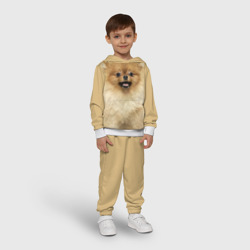 Детский костюм с толстовкой 3D Померанский шпиц собака - фото 2