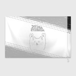 Флаг 3D Arctic Monkeys рок кот на светлом фоне - фото 2