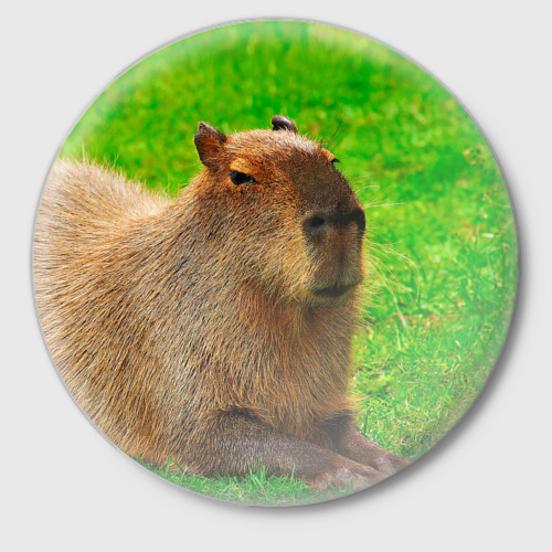 Значок Capybara on grass, цвет белый