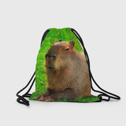 Рюкзак с принтом Capybara on grass для любого человека, вид сзади №1. Цвет основы: белый