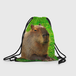 Рюкзак-мешок 3D Capybara on grass