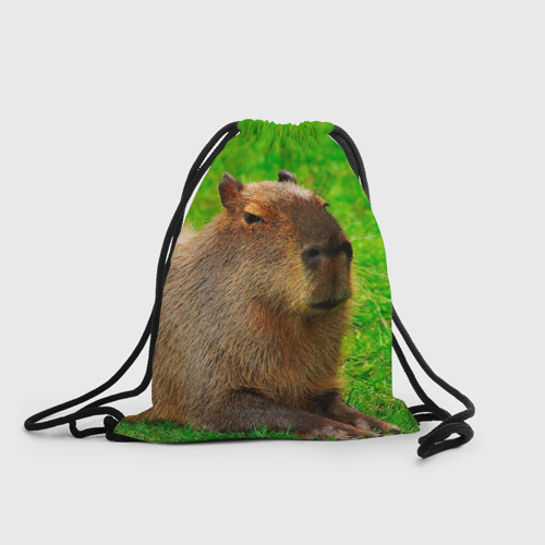 Рюкзак-мешок с принтом Capybara on grass, вид спереди №1