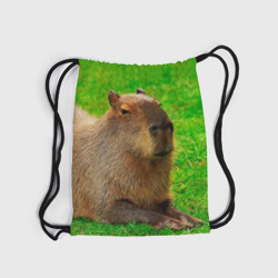 Рюкзак с принтом Capybara on grass для любого человека, вид спереди №5. Цвет основы: белый