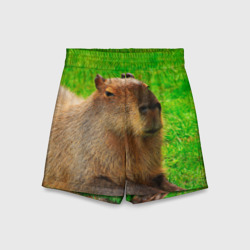 Детские спортивные шорты 3D Capybara on grass