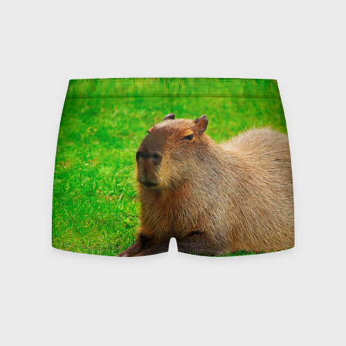 Мужские трусы 3D Capybara on grass, цвет 3D печать - фото 2