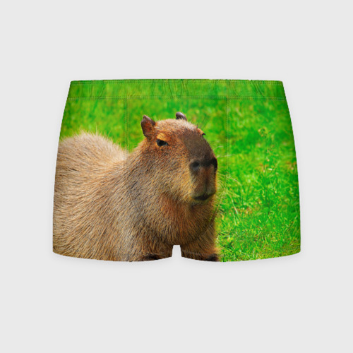 Мужские трусы 3D Capybara on grass, цвет 3D печать