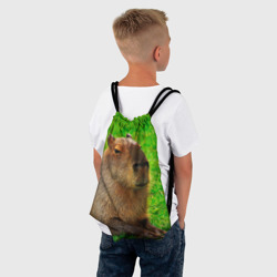 Рюкзак с принтом Capybara on grass для любого человека, вид спереди №3. Цвет основы: белый