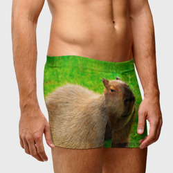 Мужские трусы 3D Capybara on grass - фото 2