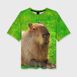 Женская футболка oversize 3D Capybara on grass