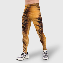 Мужские тайтсы 3D Полосатый мех тигра - фото 2