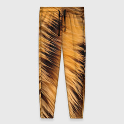 Женские брюки 3D Полосатый мех тигра