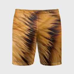 Мужские шорты спортивные Полосатый мех тигра
