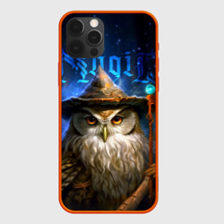 Чехол для iPhone 12 Pro Max Волшебная сова - магия