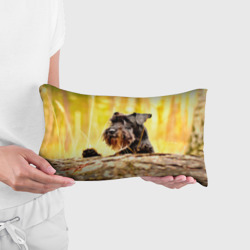 Подушка 3D антистресс Шнауцер в лесу - фото 2