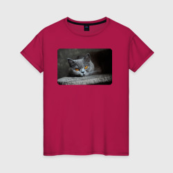 Женская футболка хлопок Британская короткошёрстная кошка