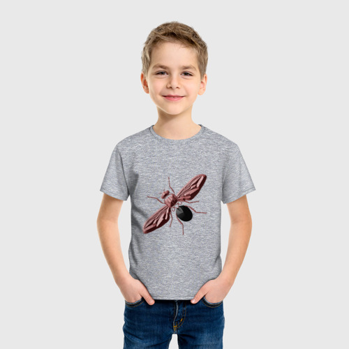 Детская футболка хлопок Муха цокотуха, цвет меланж - фото 3