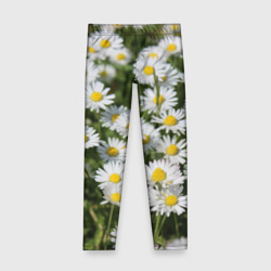 Детские леггинсы 3D Ромашки ко дню семьи, любви и верности