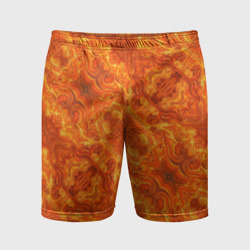 Мужские шорты спортивные Пламенный пожар