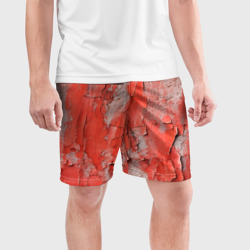 Мужские шорты спортивные Красные и серые трещины - фото 2