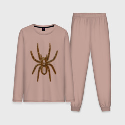 Мужская пижама с лонгсливом хлопок Лохматый паук