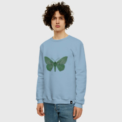 Мужской свитшот хлопок Зеленая бабочка - фото 2
