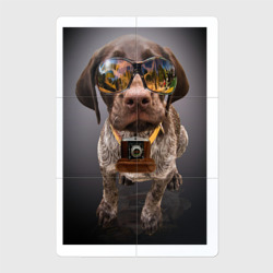 Магнитный плакат 2Х3 Собака фотограф