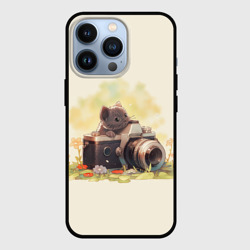 Чехол для iPhone 13 Pro Серый котенок с фотоаппаратом