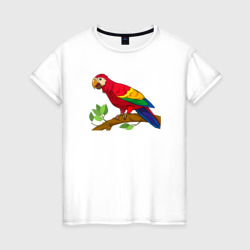 Попугай отдыхает – Женская футболка хлопок с принтом купить со скидкой в -20%