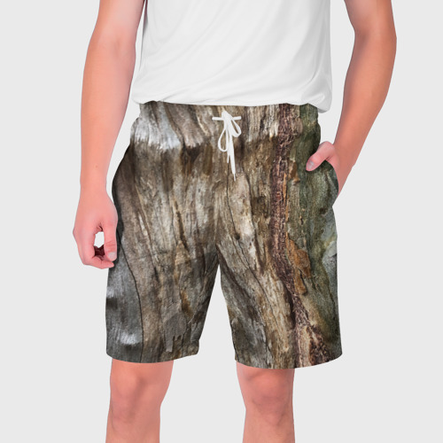 Мужские шорты 3D с принтом Текстура коры дерева платана, вид спереди #2