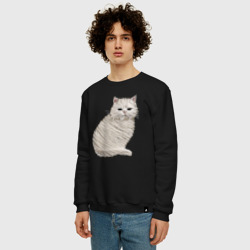 Мужской свитшот хлопок Вышивка Кот - фото 2