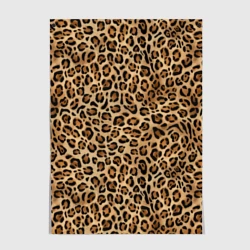 Постер Шкура леопарда, гепарда, ягуара, рыси