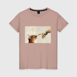 Женская футболка хлопок Сотворение кота абиссинца