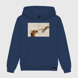 Мужская толстовка хлопок Сотворение кота абиссинца