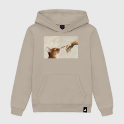 Женская толстовка хлопок Сотворение кота абиссинца
