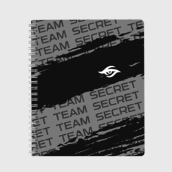 Тетрадь Форма Team Secret