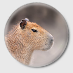 Значок Capybara profile