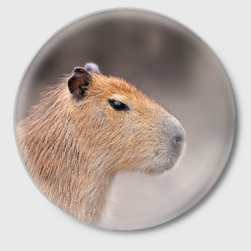 Значок Capybara profile, цвет белый