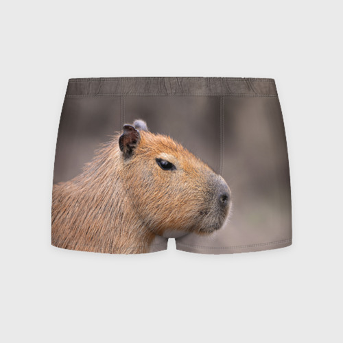 Мужские трусы 3D Capybara profile, цвет 3D печать