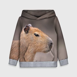 Детская толстовка 3D Capybara profile