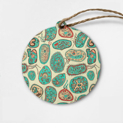 Деревянная игрушка круг Бактерии