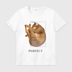 Мужская футболка хлопок Идеальный кот Симбасян