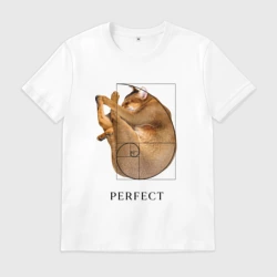 Мужская футболка хлопок Идеальный кот Симбасян