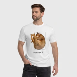 Мужская футболка хлопок Идеальный кот Симбасян - фото 2